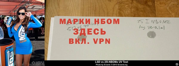 прущие грибы Белокуриха