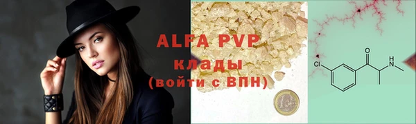 прущие грибы Белокуриха