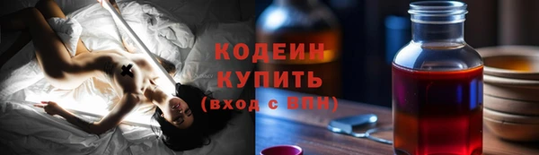прущие грибы Белокуриха