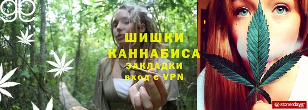 прущие грибы Белокуриха