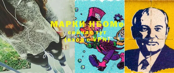 прущие грибы Белокуриха