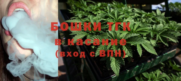прущие грибы Белокуриха