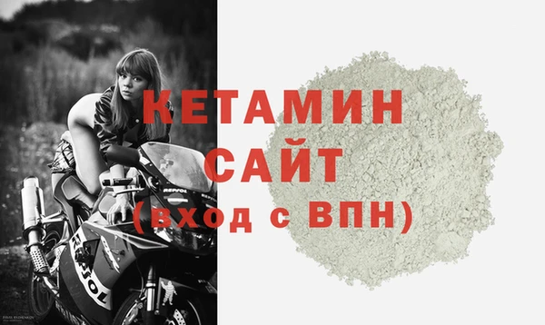 прущие грибы Белокуриха