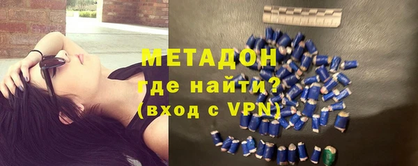 прущие грибы Белокуриха