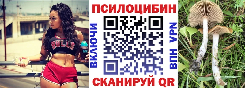 как найти Лабинск Галлюциногенные грибы прущие грибы